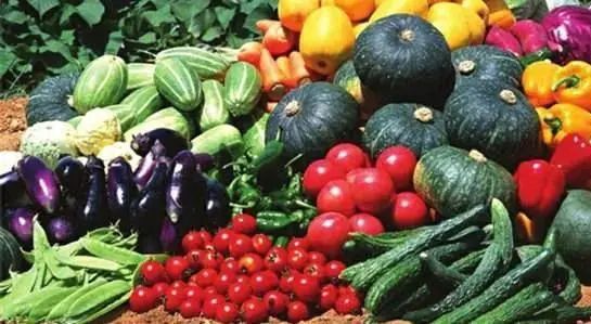 【农业科普小知识】食用农产品合格证是什么?
